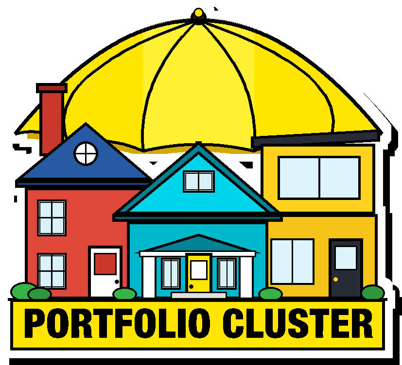 Portfolio Cluster